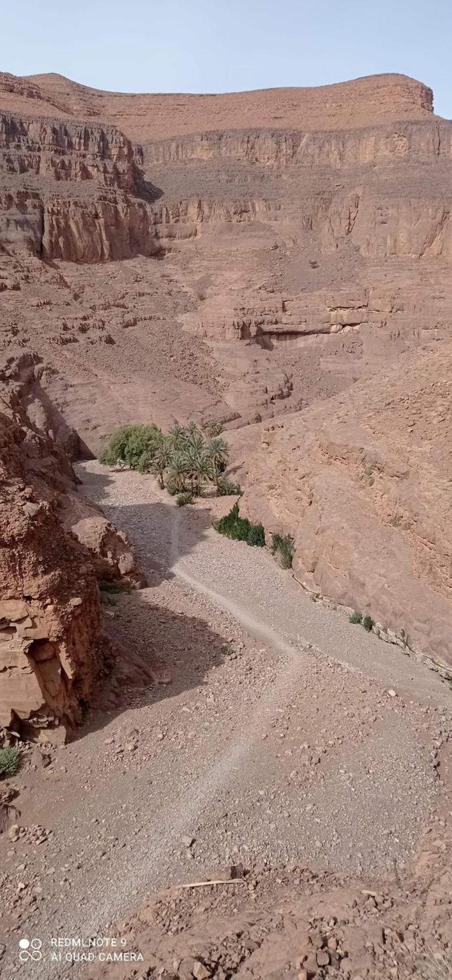Riad Tazoulte Agdz Dış mekan fotoğraf